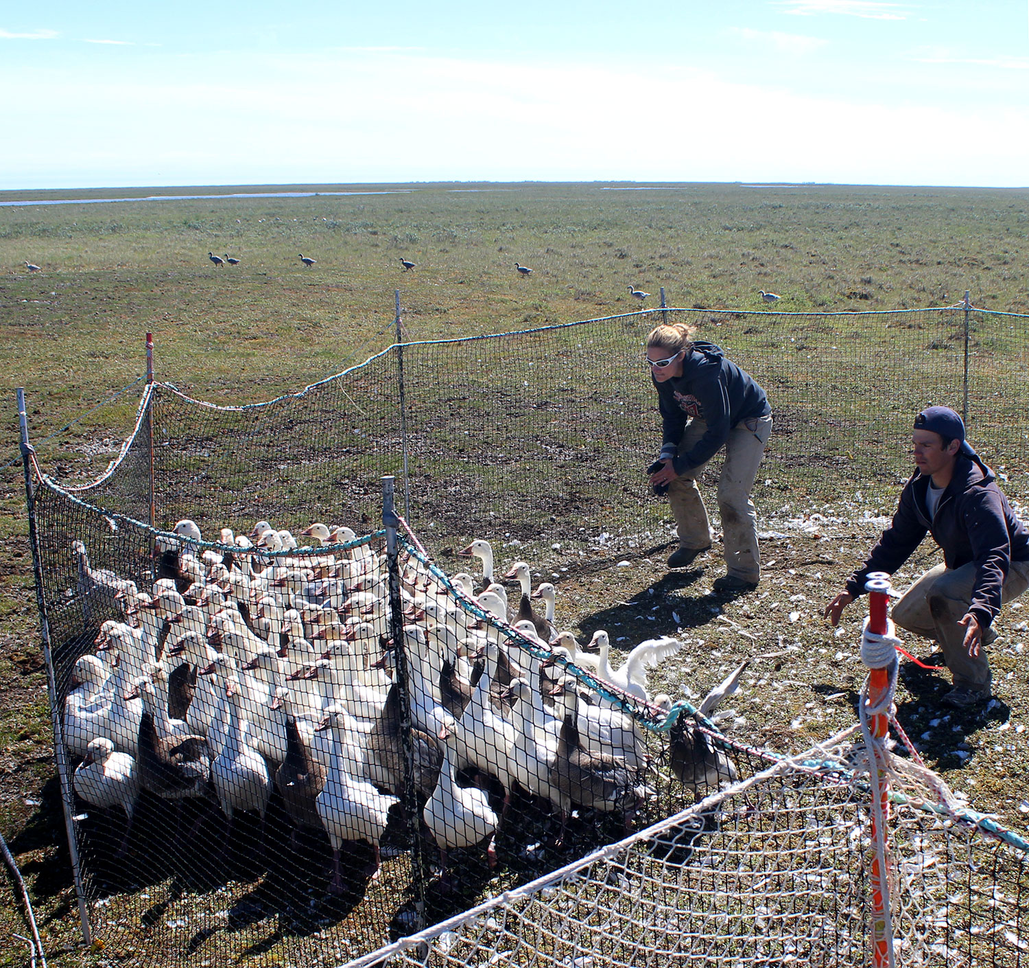 Hudson Bay Research